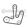 CONTITECH 6PK1795K1 V-Ribbed Belt Set